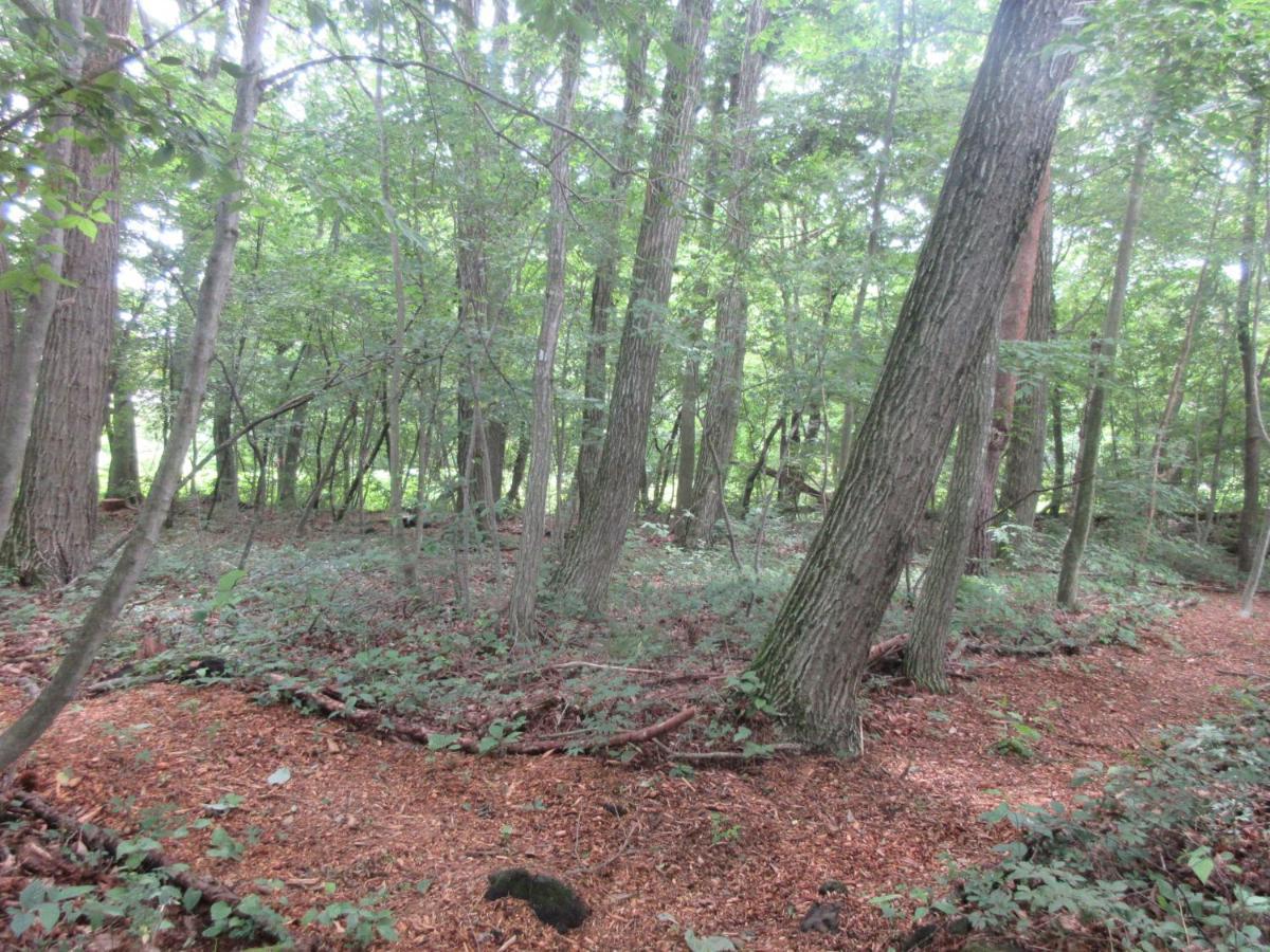Dogruncafe & Resorts Jennie West-Karuizawa 미요타 외부 사진